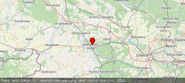 Kędzierzyn-Koźle, Polska