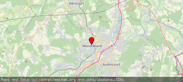 8 Avenue du Maréchal de Lattre de Tassigny, 25200 Montbéliard, France