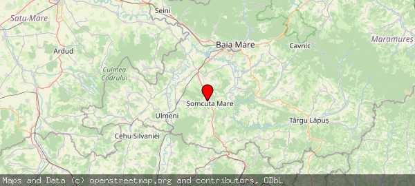 Șomcuta Mare 437335, Romania