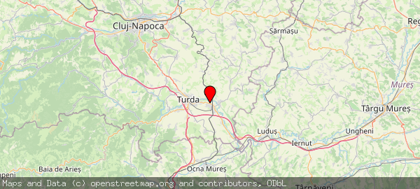405100 Câmpia Turzii, România
