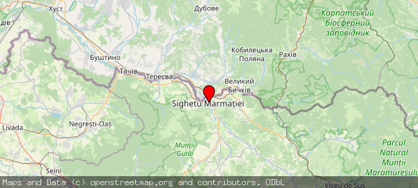 Sighetu Marmației 435500, România