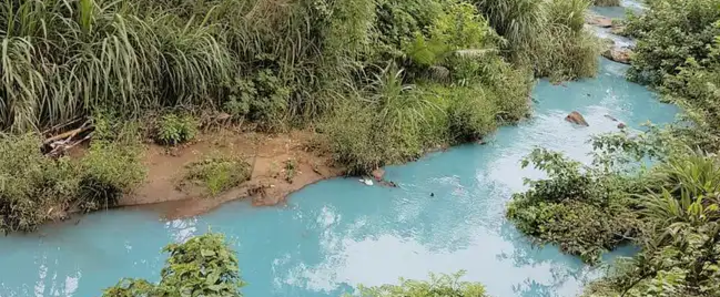 STOP the ECOCIDE of the uMbilo River