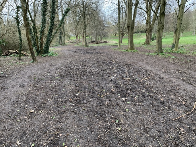 Improve the footpaths around our local park | 38 Degrees