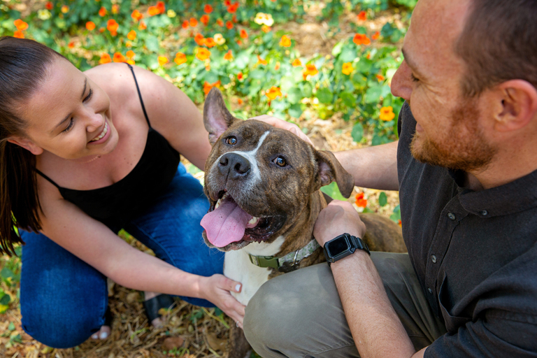 Tell city officials support animal shelter programming in Clovis