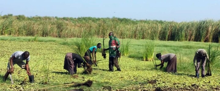 A PLEA FOR JUSTICE: SAVE YALA SWAMP FOR YIMBO AND ALEGO COMMUNITIES