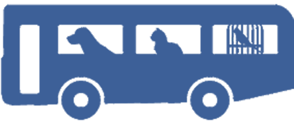 Suffolk to allow pets to ride on buses | 38 Degrees