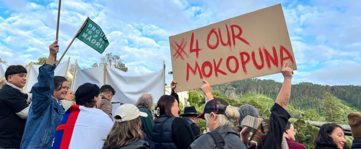 Image of a group of people smiling and holding signs and flags. The biggest sign says "4 Our Mokopuna" another sign says "Proud to be Māori"