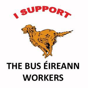 Bus sales eireann dog