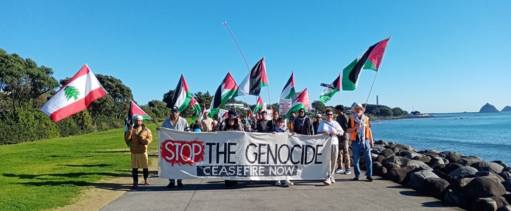 A group of Palestine Solidarity Taranaki holding Palestinian flags and a banner saying "Stop the Genocide, Ceasefire Now"