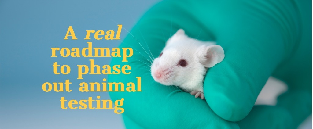 A real roadmap to phase out animal testing | 38 Degrees