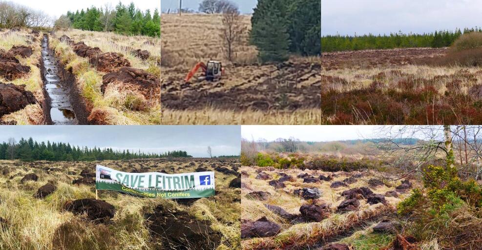 Stop Planting Bogs - Save our Carbon | MyUplift