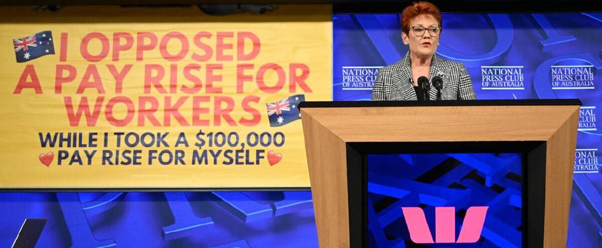 https://www.megaphone.org.au/petitions/pauline-hanson social preview image