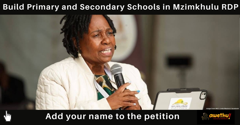 Build Primary and Secondary Schools in Mzimkhulu RDP | Awethu.mobi