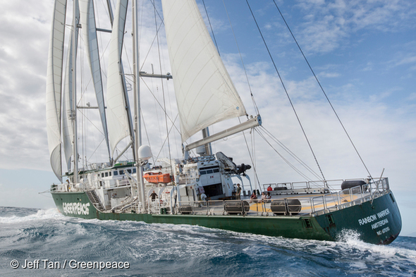 Greenpeace Aotearoa