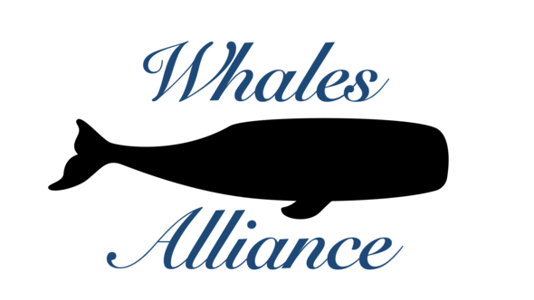 Whales Alliance 