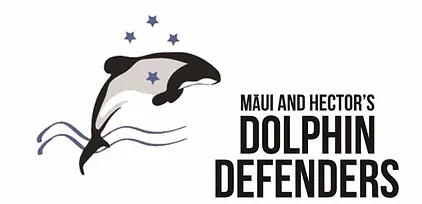 Māui and Hector’s Dolphin Defenders