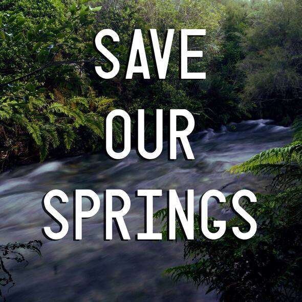 Save Our Springs - Te Waikoropupū