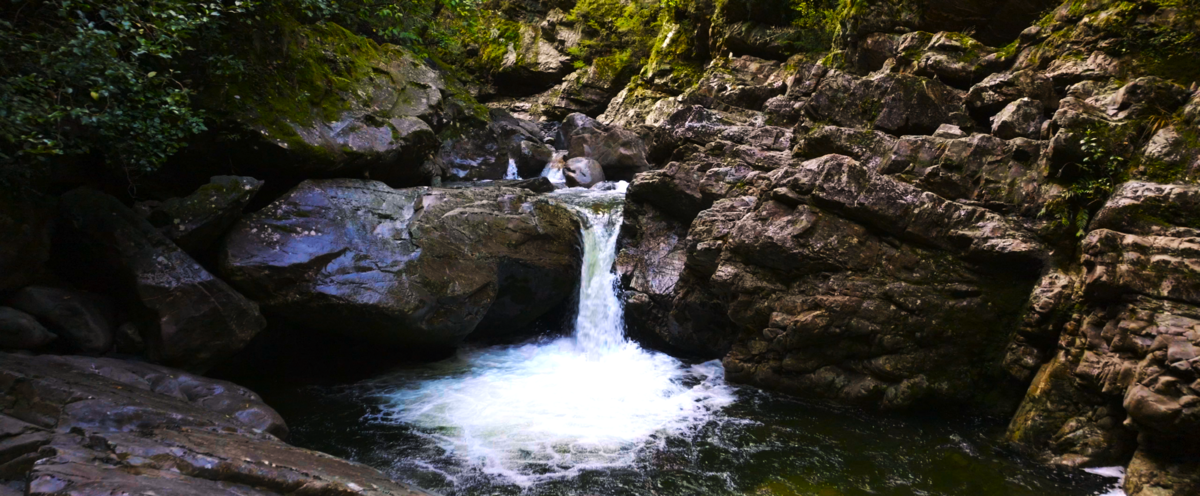 Be Bold and Expand Kahurangi National Park