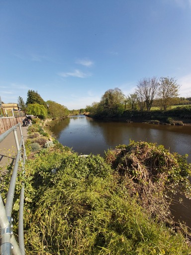 Aylesford River Walk Repairs | 38 Degrees