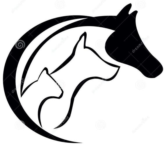 Petition for Animal Welfare in Ireland | Uplift Petition for Animal Welfare in Ireland | Uplift