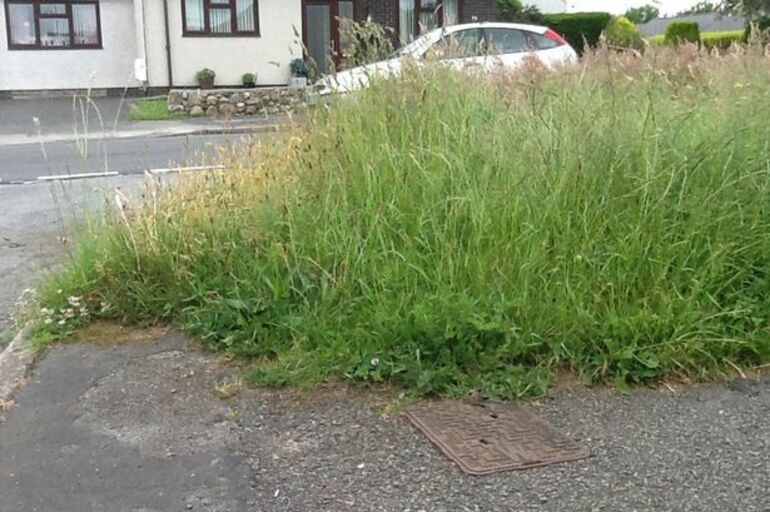 Cut the Grass Verges In Lincolnshire 38 Degrees