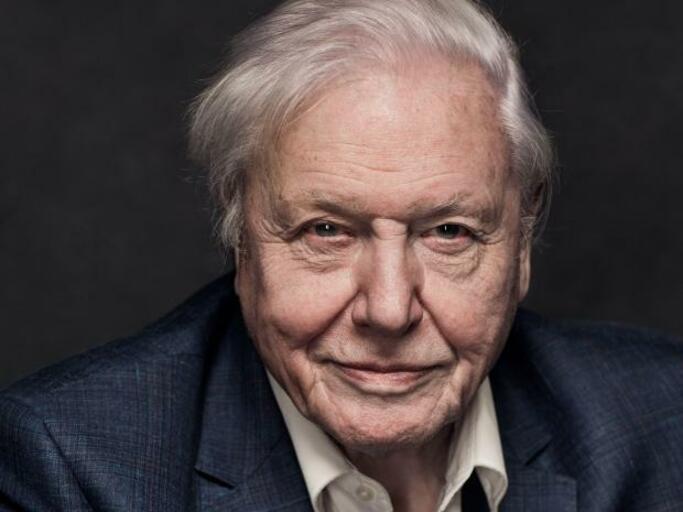 Celebrating The Rich Contributions Of David Attenborough To The United Kingdom