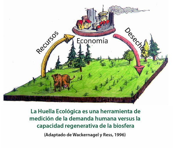 NO talar árboles - Colombia | Somos Puentes
