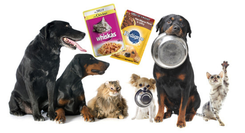 Stop using plastic pet food pouches 38 Degrees