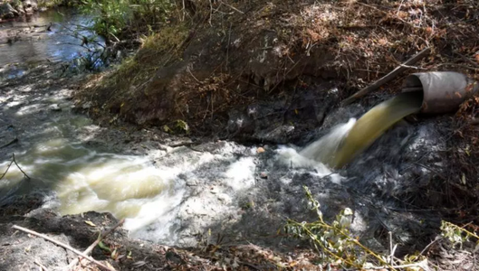 El rio Río Negro, está contaminado | Somos Puentes